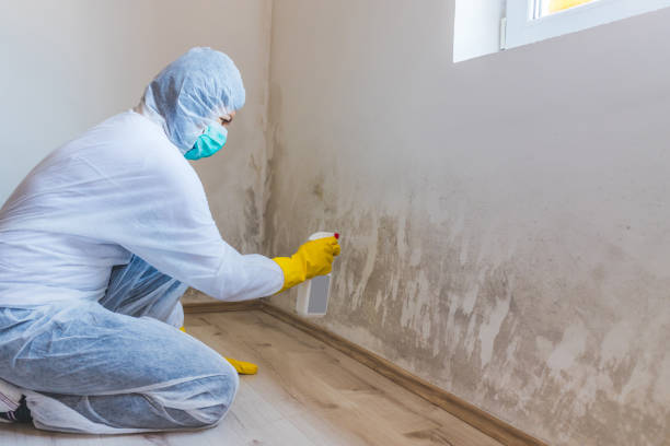 Best Industrial Mold Remediation  in Oakland City, IN