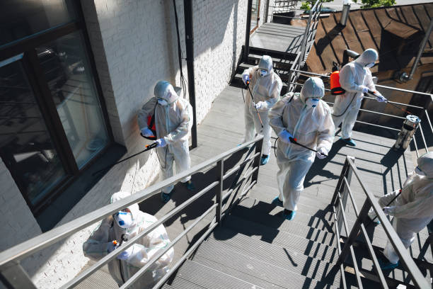 Best Water Damage & Mold Remediation  in Oakland City, IN
