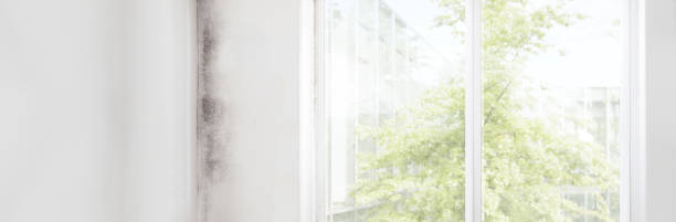 Dehumidification Services in Oakland City, IN