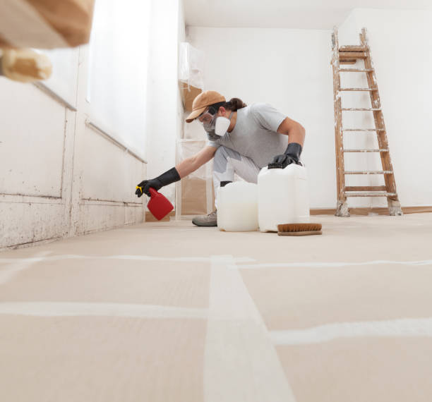 Best Water Damage & Mold Remediation  in Oakland City, IN