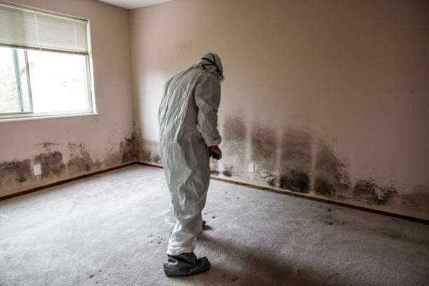 Mold Remediation for Vacation Homes in Oakland City, IN