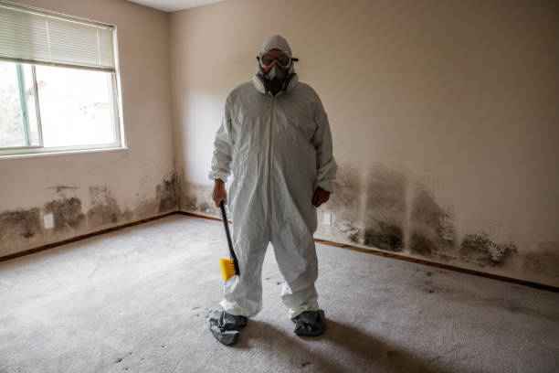 Best Industrial Mold Remediation  in Oakland City, IN